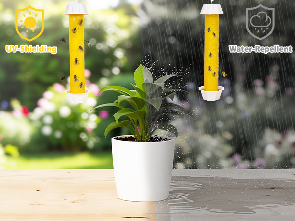fly traps outdoor