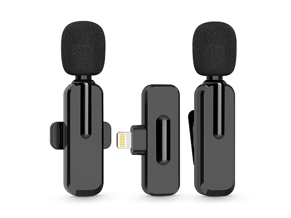 mic