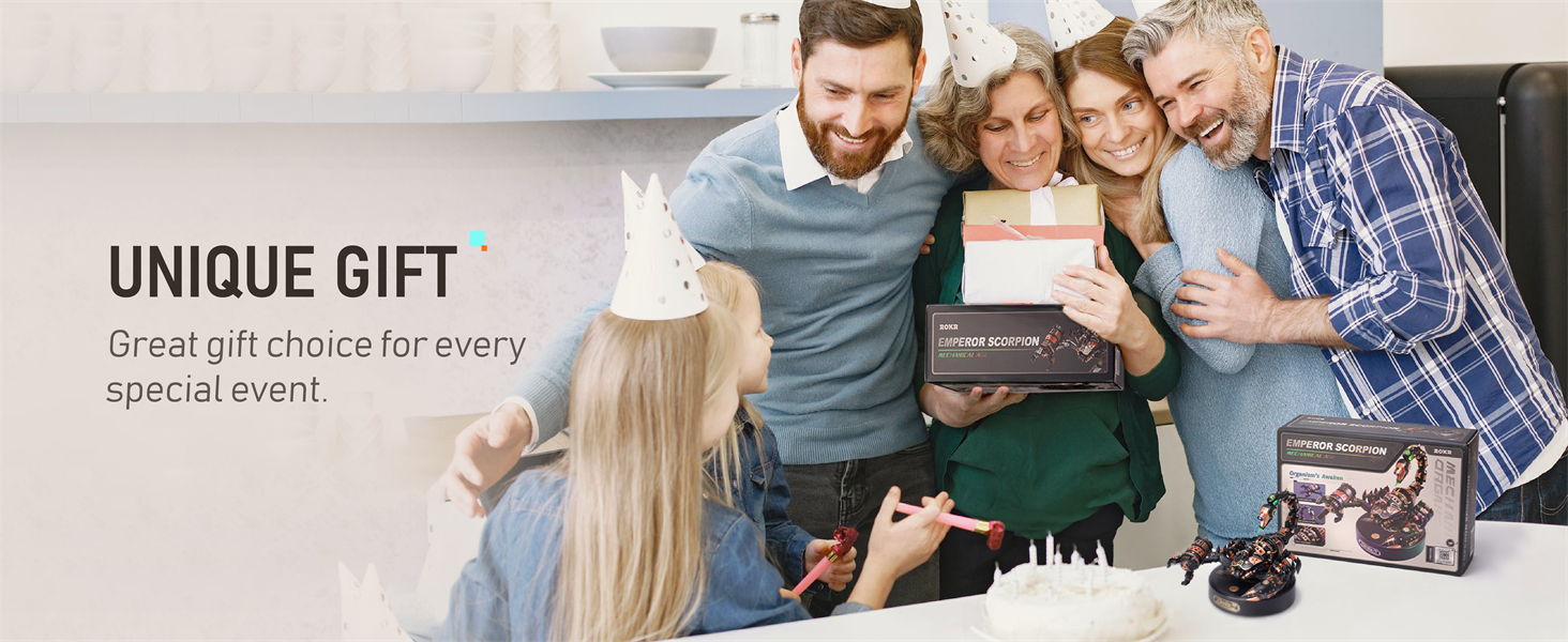 ROKR Assembly DIY Gift Plastic Craft Hobby for Men, Women, Kids, Teens