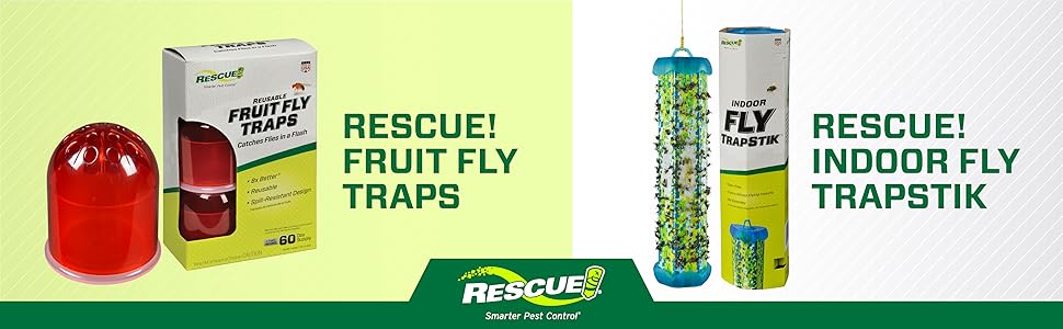 Are fruit fly traps right for you?