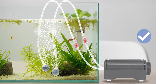 installation of the air pump 2