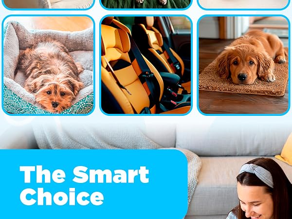 pet hair removal tool remover for furniture couch carpet animal fur reusable rake dog scraper rug