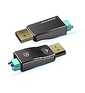 DisplayPort Module
