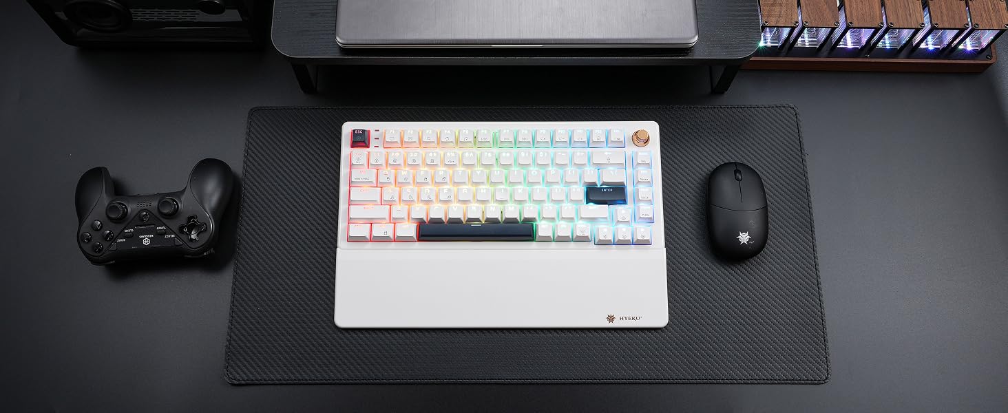 Hexgears E2sPro Mechanical Gaming Keyboard with Wrist Rest