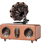 FREEFISH Retro Bluetooth Speaker Retro Radio with 5.4 Bluetooth Version, FM Radio, Bass Vintage W...