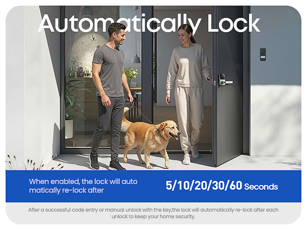 Smart Door Lock with Handle