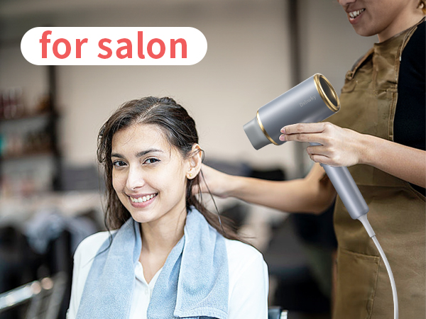 Professional Ionic Hair Dryer