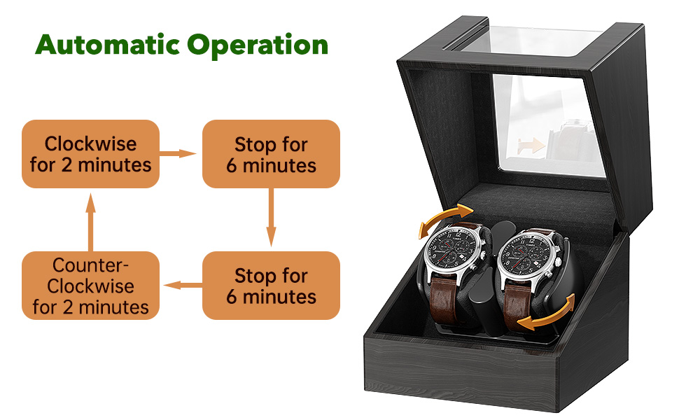 watch winder box