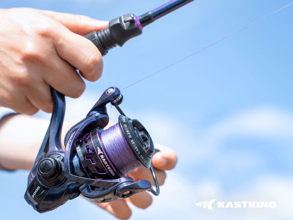 fish line