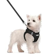 rabbitgoo Dog Harness Small Sized and Leash Set, Step in Soft Light Puppy Vest, Breathable Mesh P...