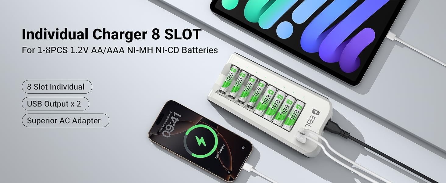 Individual Charger 8 SLOT