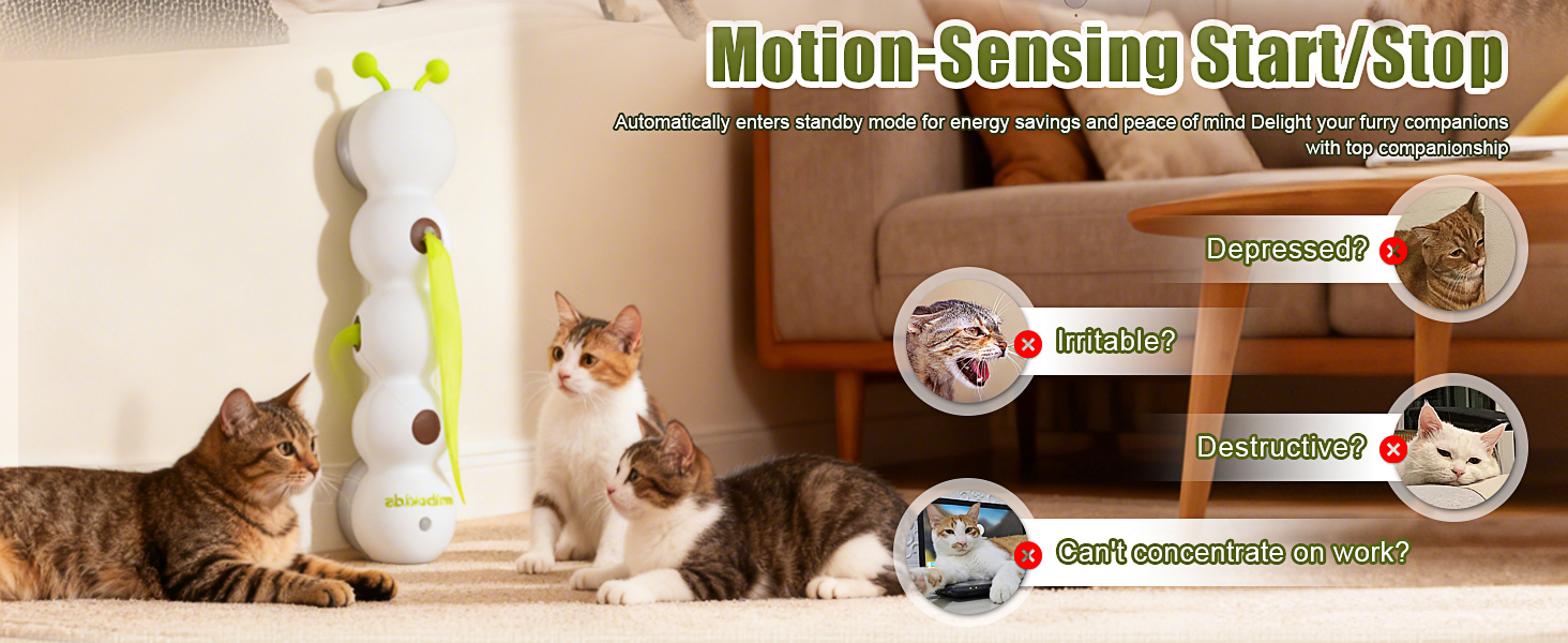 smart motion cat toy