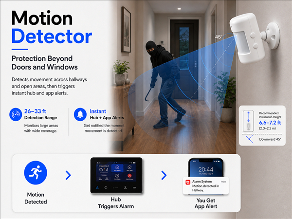 Motion Detector