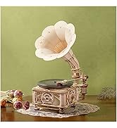 ROKR 3D Wooden Puzzles Automatic Record Player Gramophone Craft Model Kits for Adult to Build DIY...