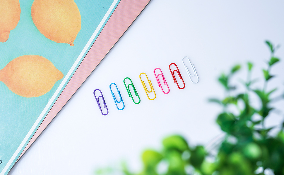 Paper Clips