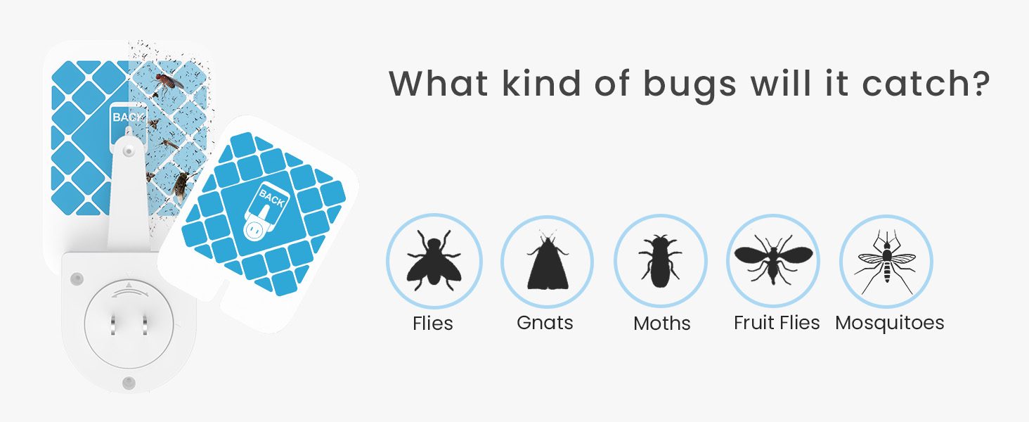 flying insect trap