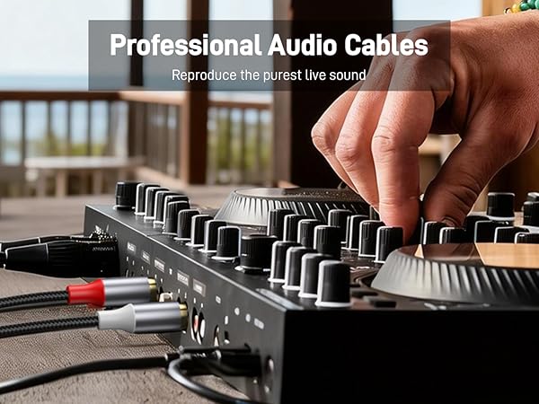 3.5mm to 2 RCA Audio Cable