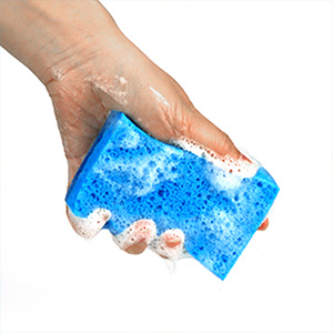 Scrub Sponge