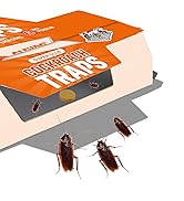 Insect Fly Traps Refills