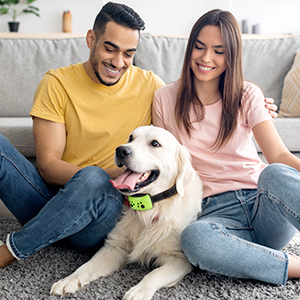 bark collar for small dogs