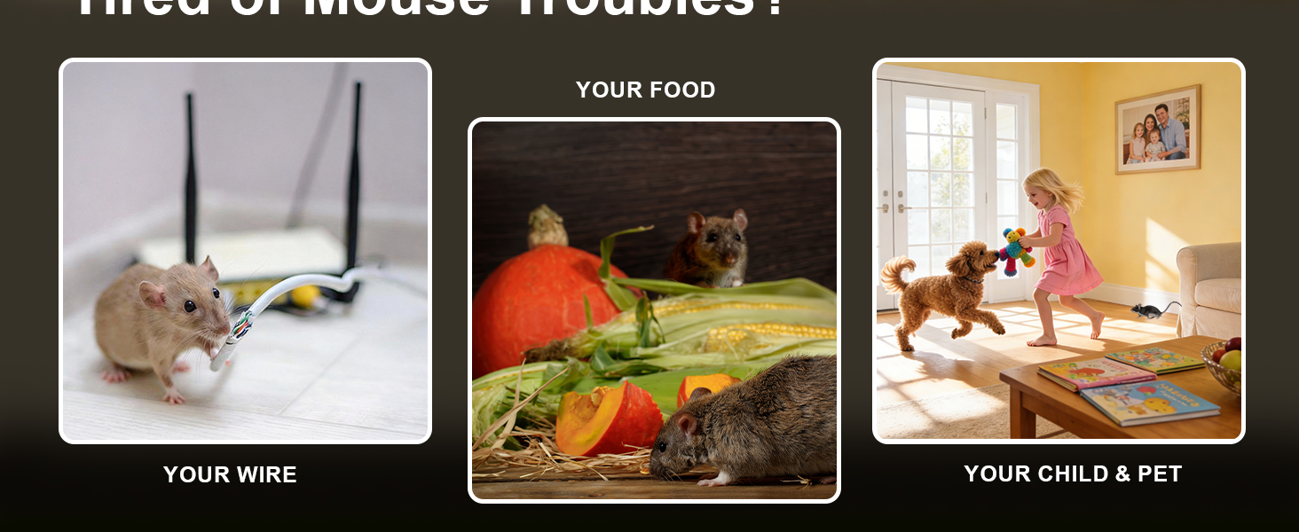 Tired of Mouse Troubles?
