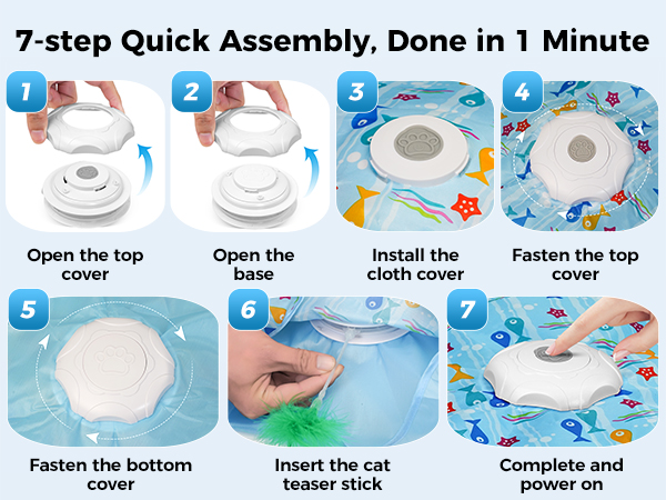 cat toys