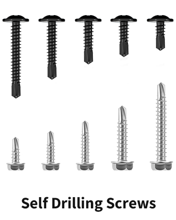 Self Tapping Screws Kit