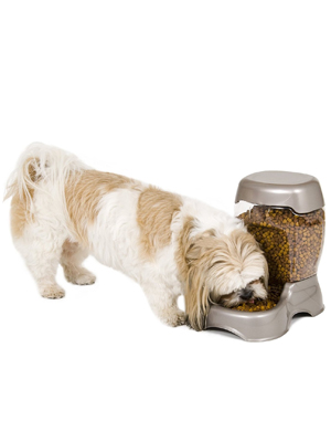 top rated automatic cat feeder, pet feeder for multiple pets, pet feeder for cats,