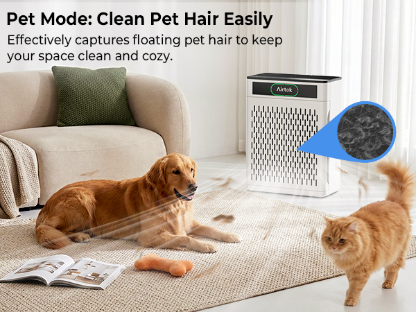 Air Purifiers