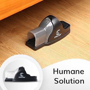 The Humane Solution