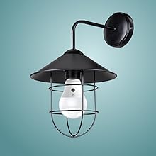 Step 1: Insert bulb into fixture.