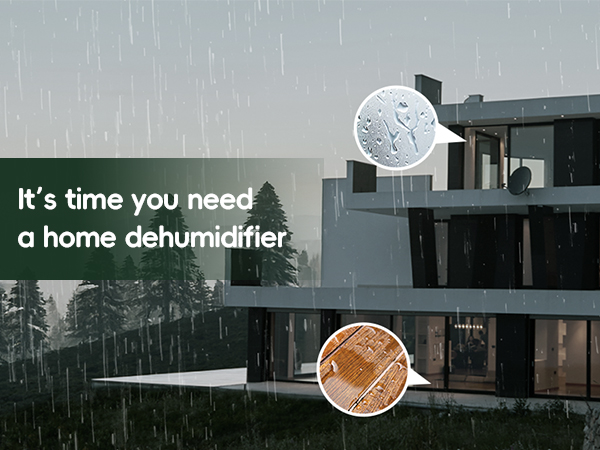 Dehumidifier