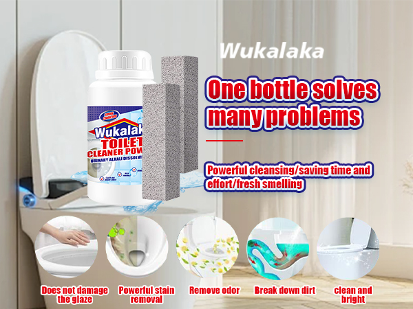 Toilet Cleaning