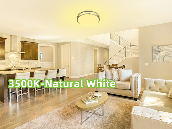 Flush Mount LED Ceiling Light Fixture