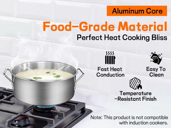 fryer pot with basket