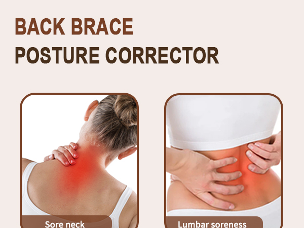 Waist Trainer Vest Tummy Control 