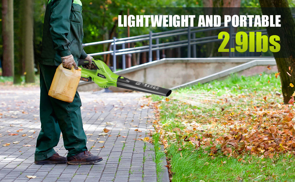 mini Leaf Blower
