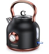 NESSGRAIM Retro Electric Kettle, 1.7L Stainless Steel Tea Kettle with Large Temperature Gauge, 15...