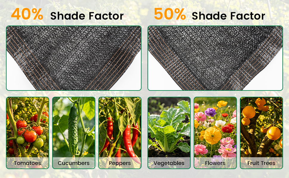 shade 1
