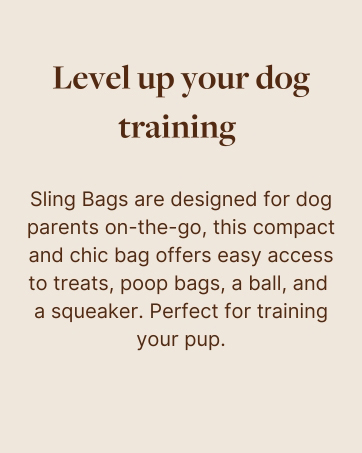 Cleverpup Brand Story Slide 2