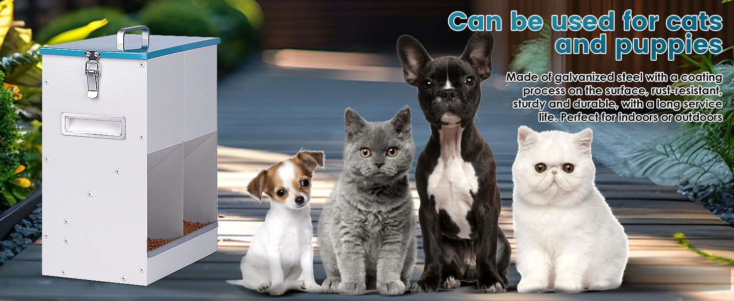 cat feeding feeder station with storage 