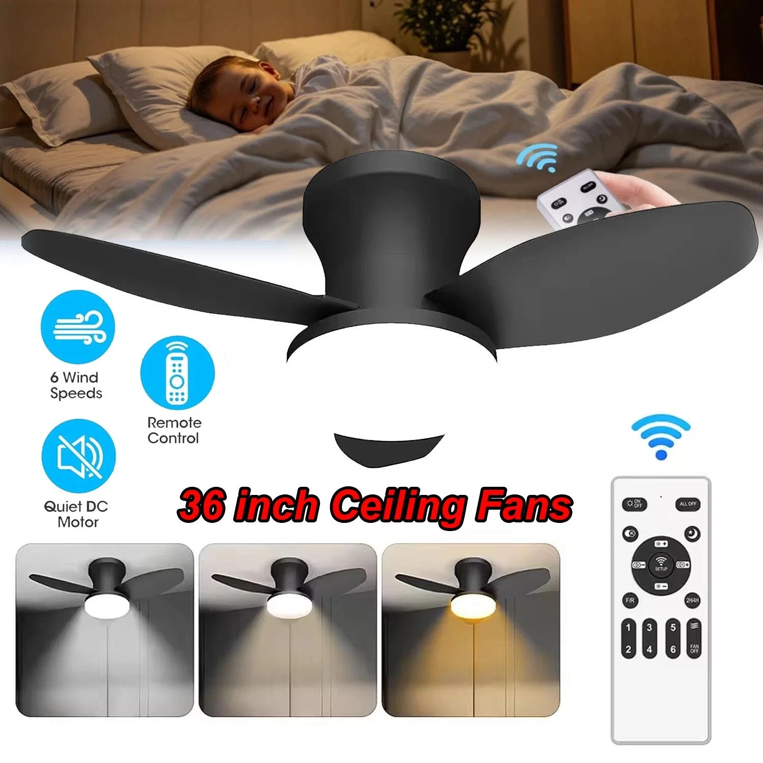 https://i.ebayimg.com/images/g/Md8AAeSwjbFpzj66/s-l1600.webp