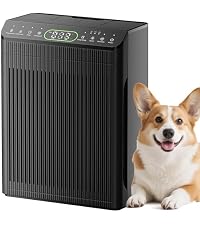 https://m.media-amazon.com/images/I/41YobxAYqlL.__AC_SR200,225___.jpg