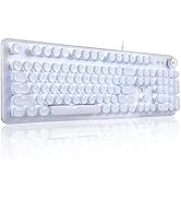 ZDawnn Gaming Keyboard with Retro Punk Typewriter Style. Blue Switch, Stylish White Backlight and...