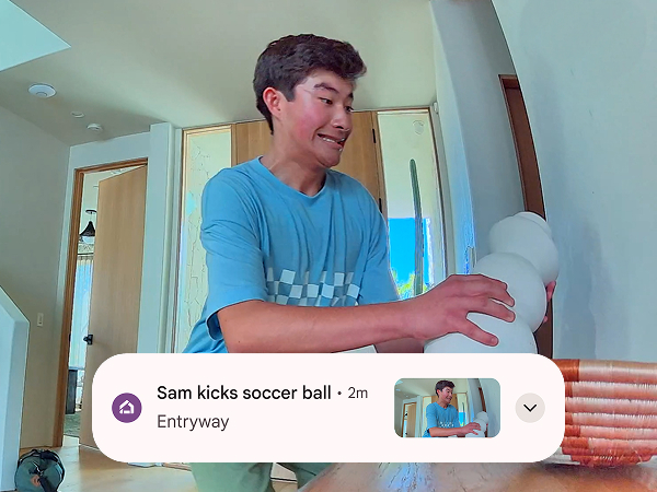 Know even more about what’s happening at home with more descriptive notifications.[3]