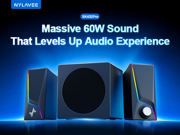 Computer Speakers with Subwoofer