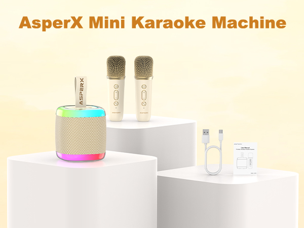 karaoke machine for adults