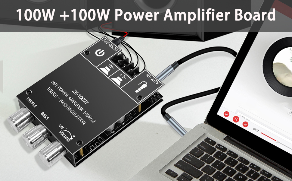 100W+100W Amplifier Board with Treble and Bass Control