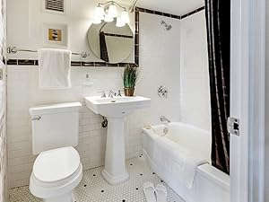 multi-surface pet solution