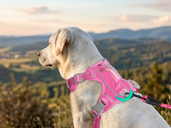 gentle leader harness reflective vest shepards hooks for outdoor dog seat belt